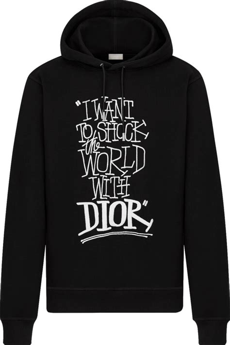 i want to shock the world with dior hoodie|DIOR AND SHAWN T.